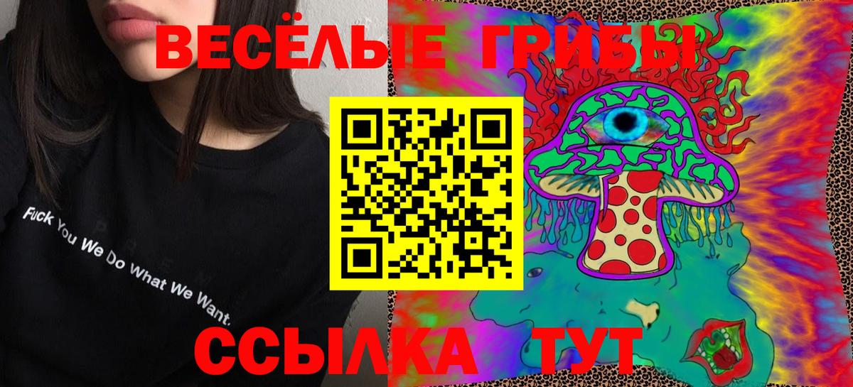 Псилоцибиновые грибы GOLDEN TEACHER  Вход с VPN  Кудрово 
