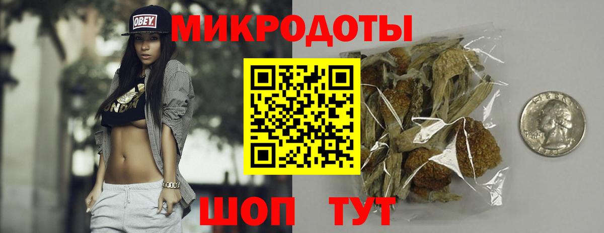 Галлюциногенные грибы Psilocybine cubensis Кудрово